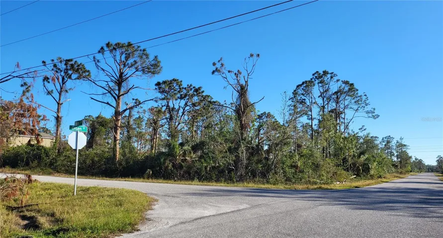 View of lot looking southeast from intersection of Olsen & Banos. Note the power lines are already available.