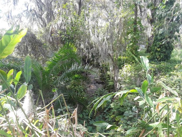 Bullfrog Creek