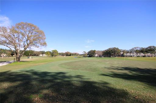 Enjoy the sunny Florida weather while you enjoy the two golf courses.