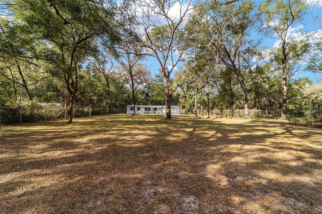Large front yard with mature trees