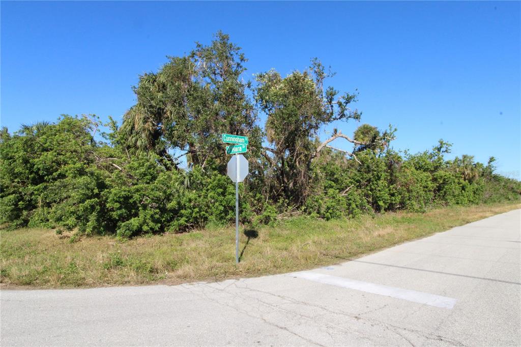 First of 3 lots...you have the corner lot and the next two adjoining lots.