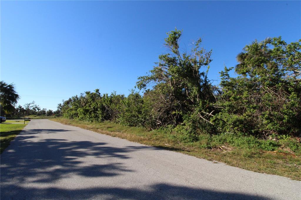 Plenty of land to build your Florida Dream Home.....