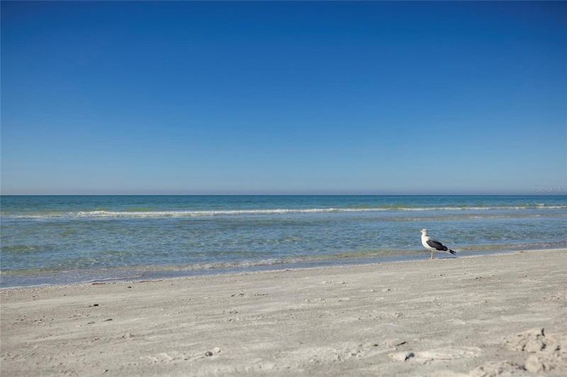 Great beach for long walks