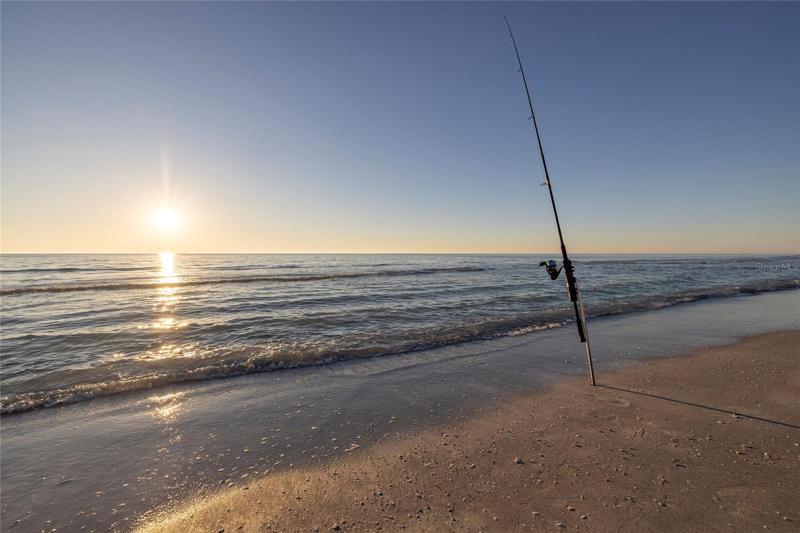 Love to fish?  Fish right from the shore.