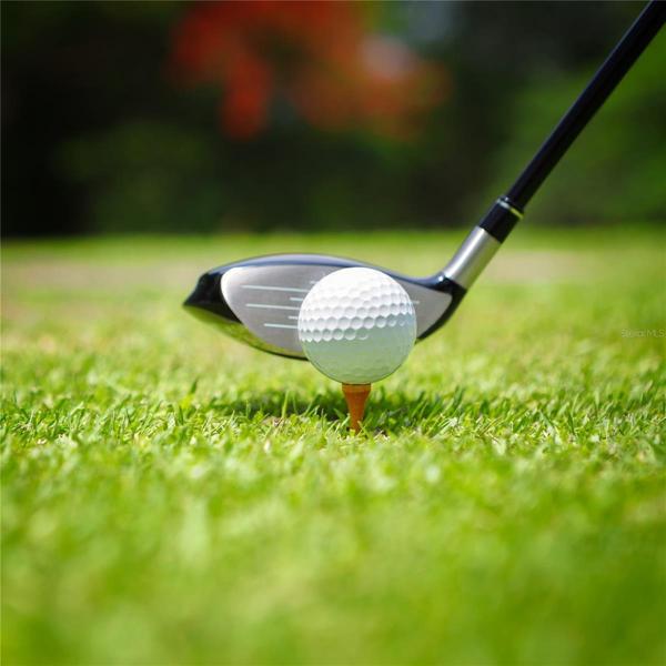 Love to Golf?  A number of private courses with membership options and public courses are an easy drive from your home.