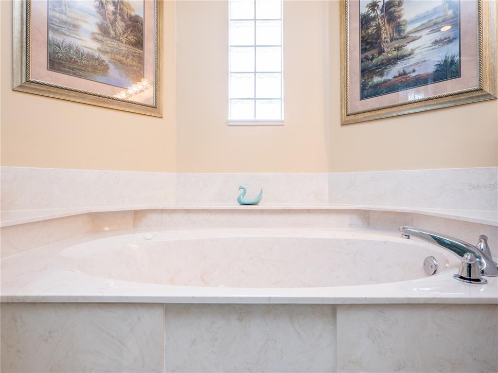 Master Bath Tub