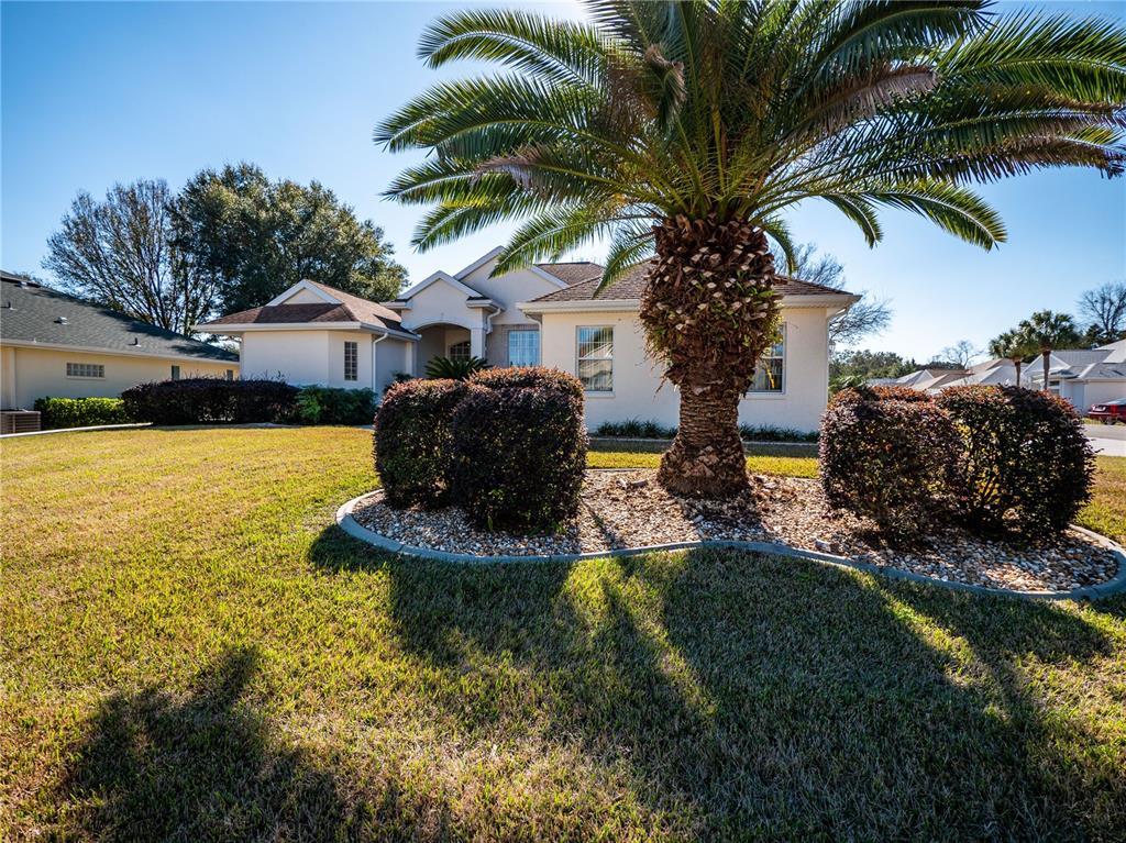 Landscaping in Front Yard