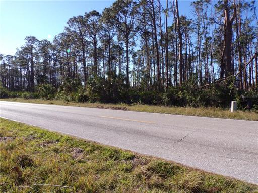 View from Chamberlain Blvd