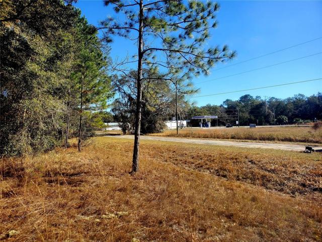 From Lot looking East