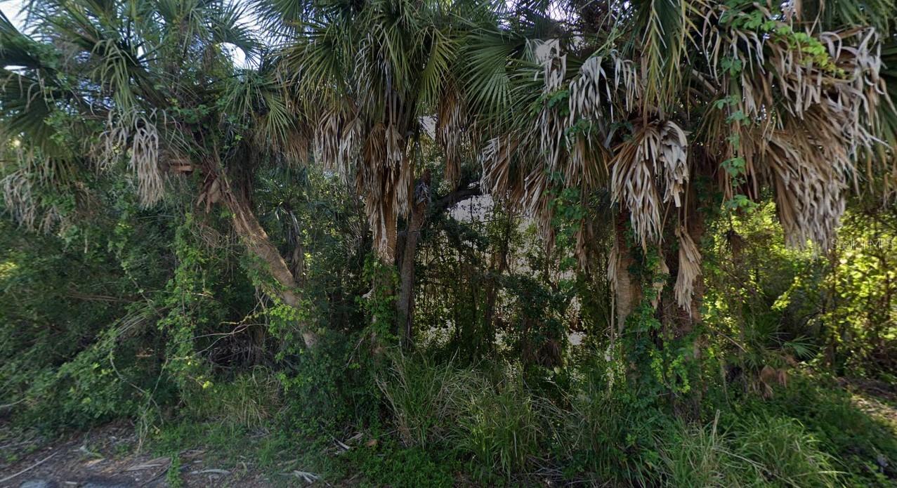 Lot 336. Property Lines are an approximation