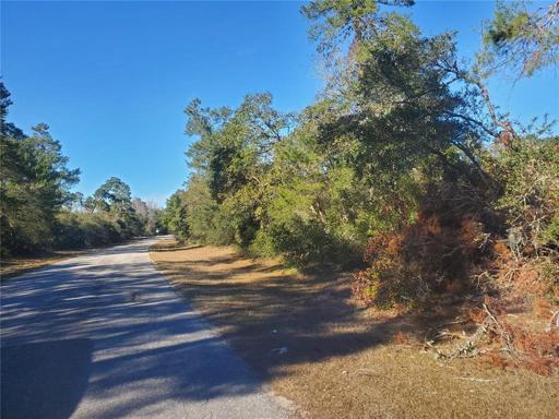 Lot to Right Looking South