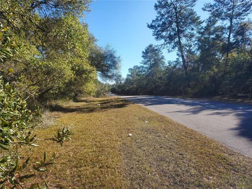 Lot looking South