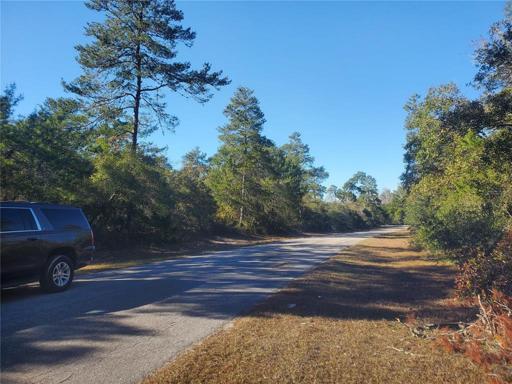 Lot Looking North
