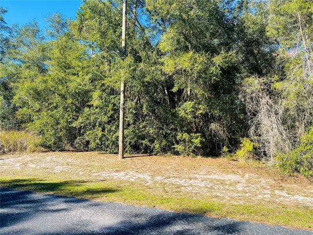Lot Location