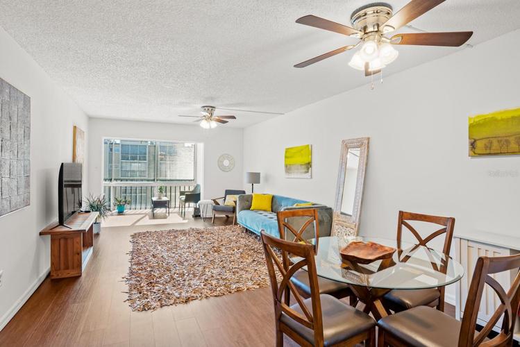 Dining and Living Area