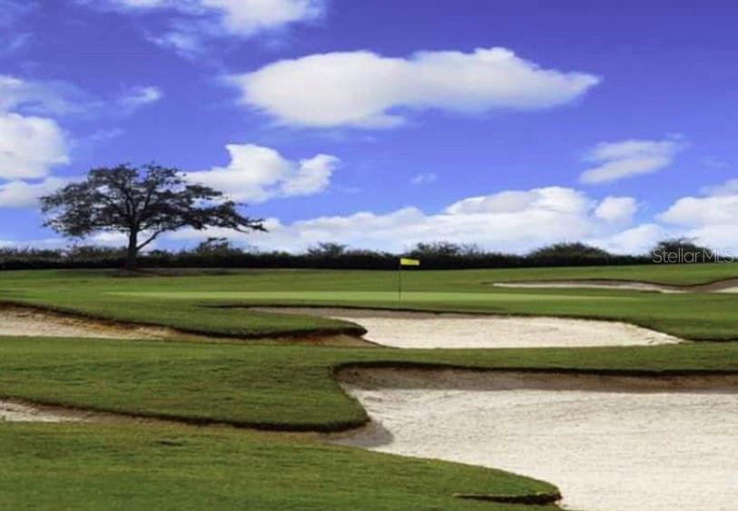 Golf and more golf