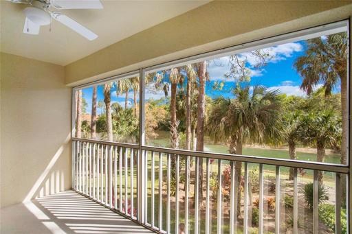 Lanai View