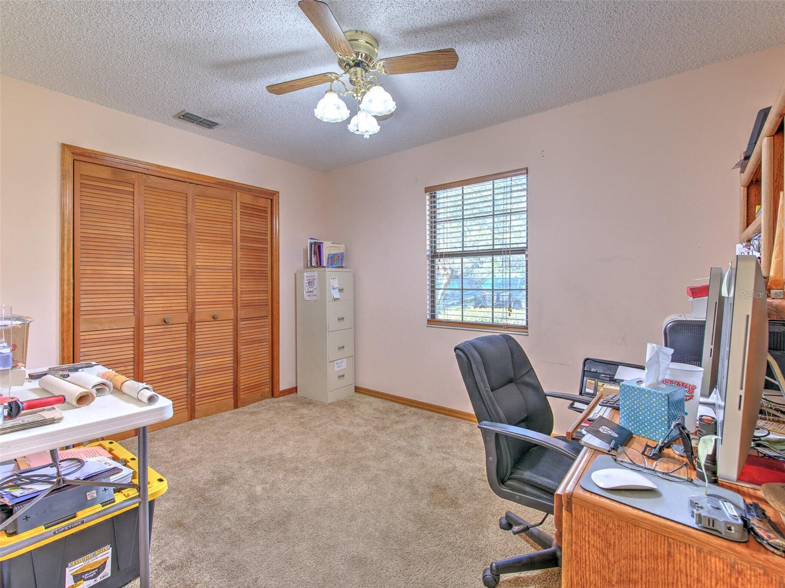 Bedroom #3 (Currently used as a home office)