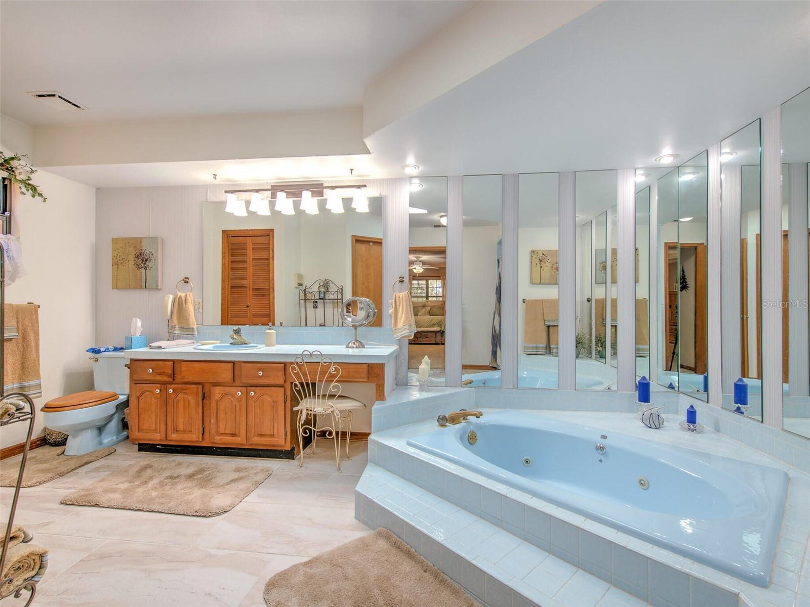 Master Bathroom (solid wood cabinets, skylight, large soaking jetted tub, makeup/vanity area, shower, walk-in closet and linen closet.)