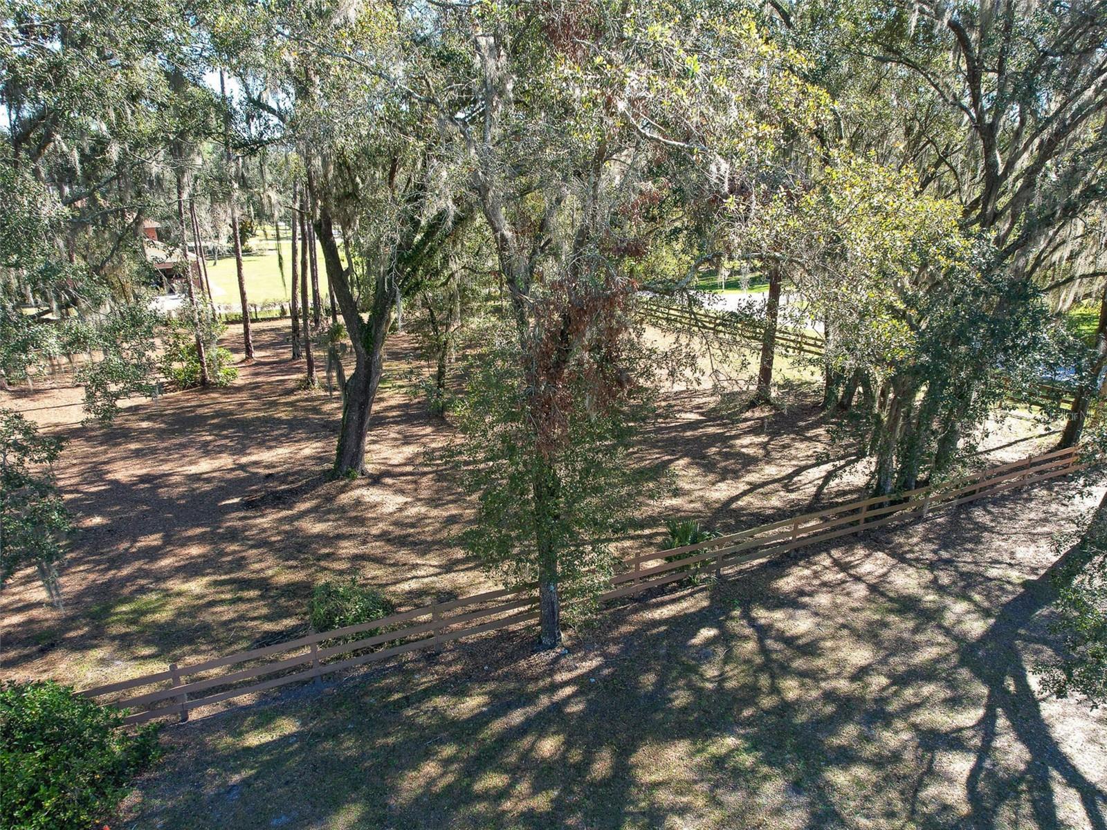 Drone view of the beautiful, shaded, fenced vacant area of the property. PERFECT for Horses!