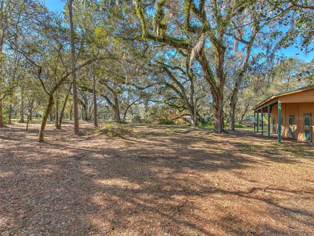 View from the far side of the property. The acre features vacant land with big shady oak trees and a 40'x48