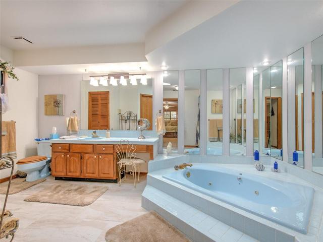 Master Bathroom (solid wood cabinets, skylight, large soaking jetted tub, makeup/vanity area, shower, walk-in closet and linen closet.)