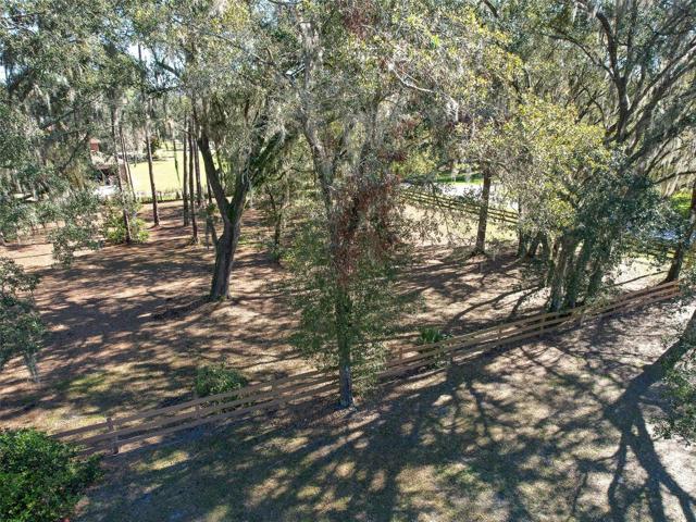 Drone view of the beautiful, shaded, fenced vacant area of the property. PERFECT for Horses!