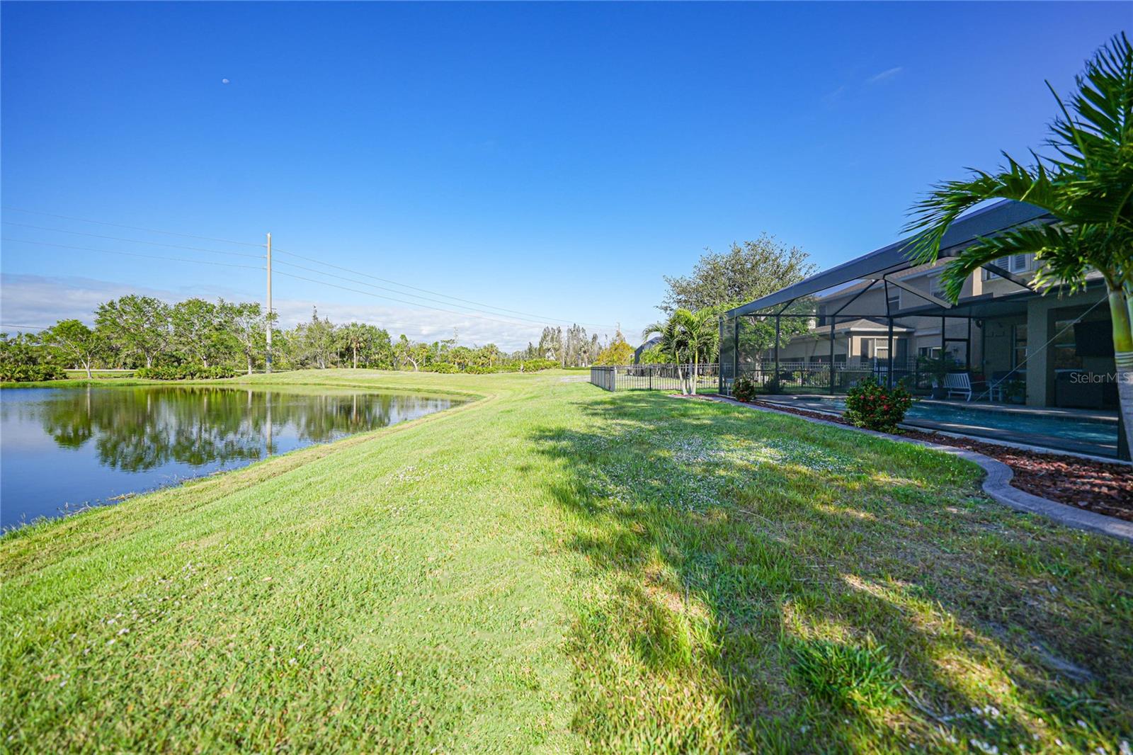 View of Pond