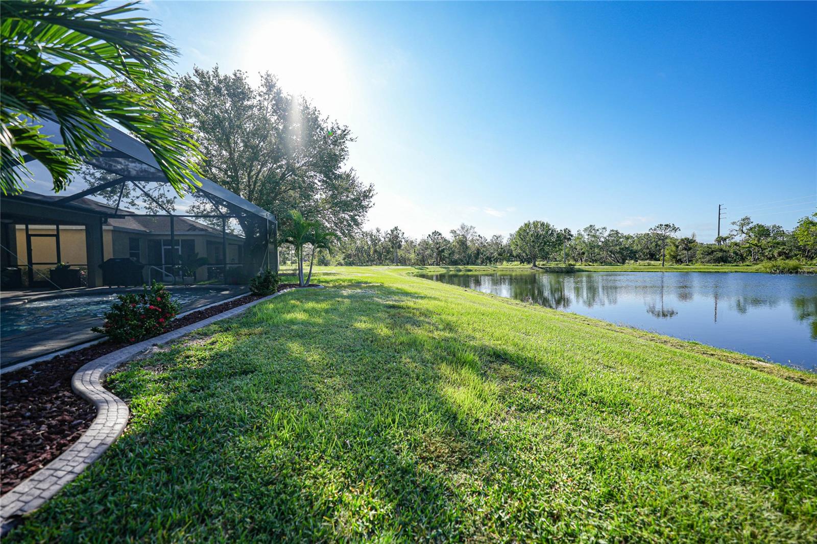 View of Pond