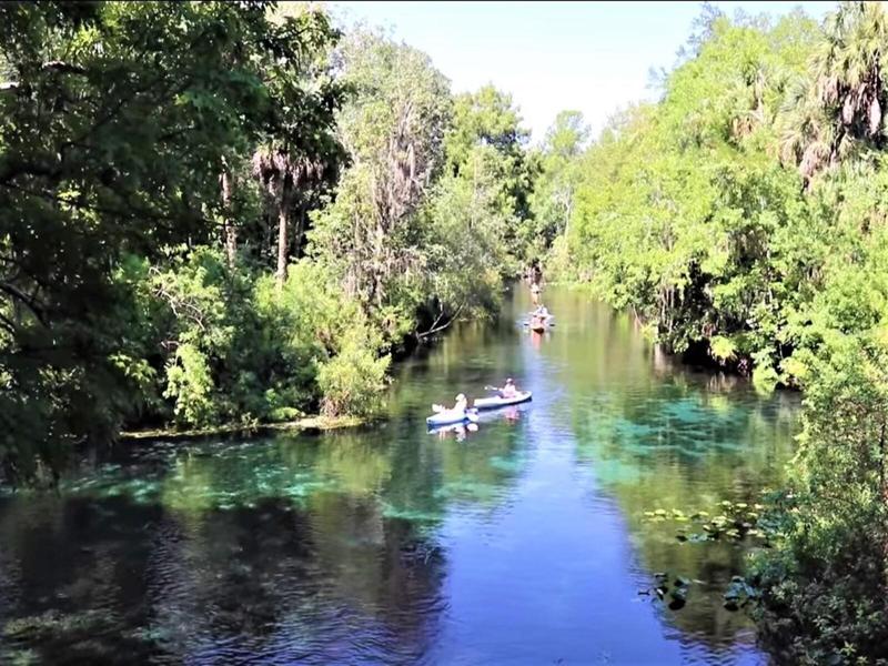 Kayaking in Silver Springs is a must!