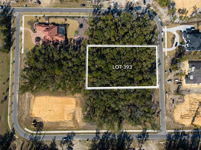 Aerial w/Lot Lines