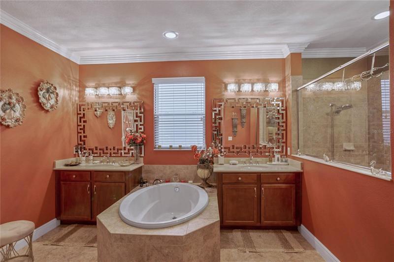 Master Bathroom Tub