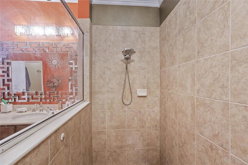 Master Bathroom Shower