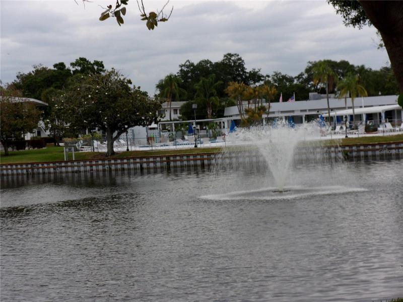 POOL OVERLOOKING LAKE & FOUNTAIN