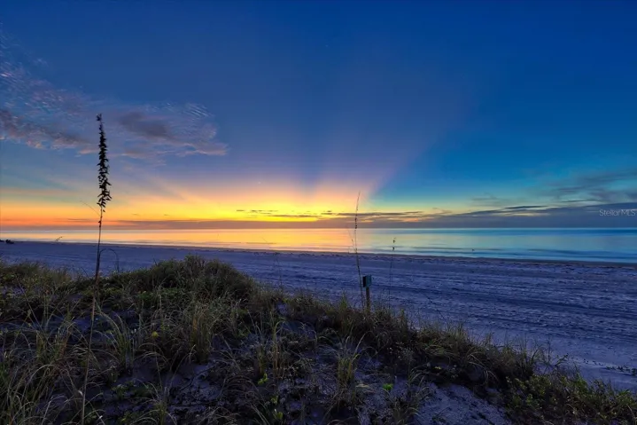 Beach Views