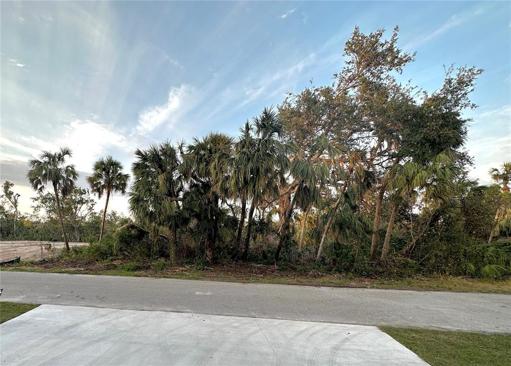 View of this double lot