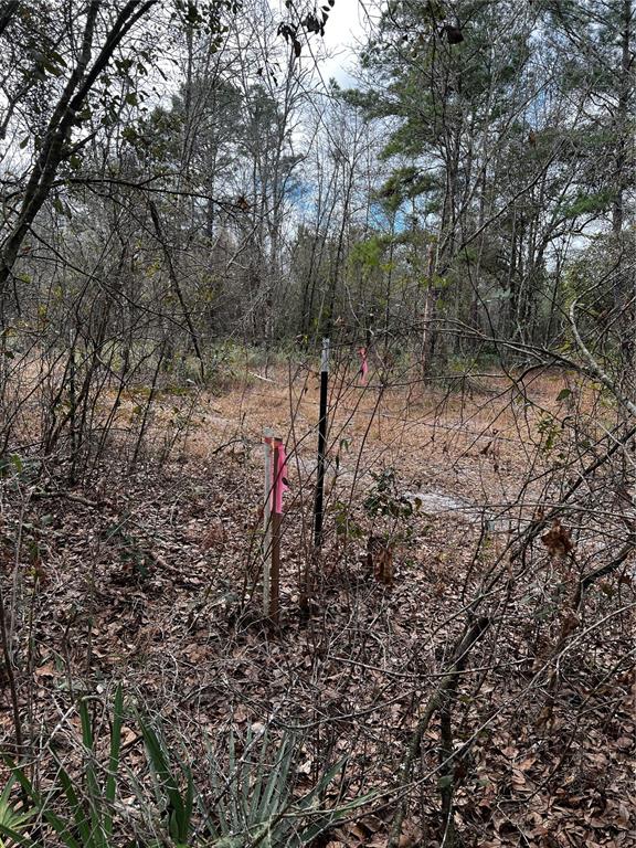 south corner of the lot