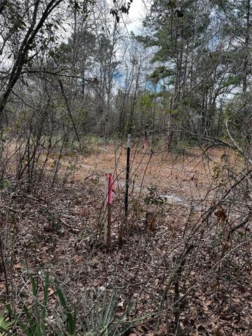 south corner of the lot