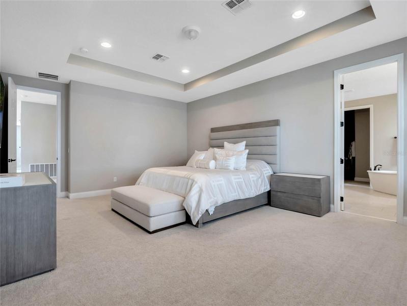 Tray ceiling in master bedroom