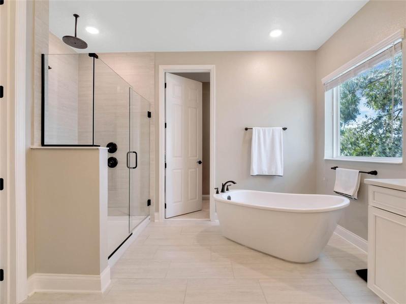 Luxurious master bathroom
