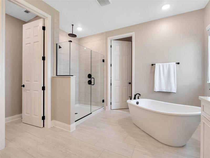 Large walk-in shower and soaking tub