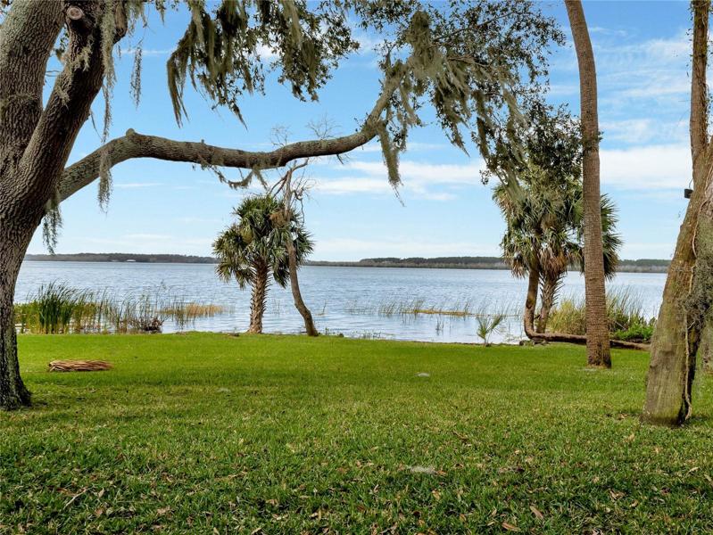 Lake view from backyard