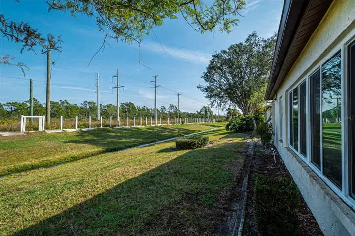 Rear yard view