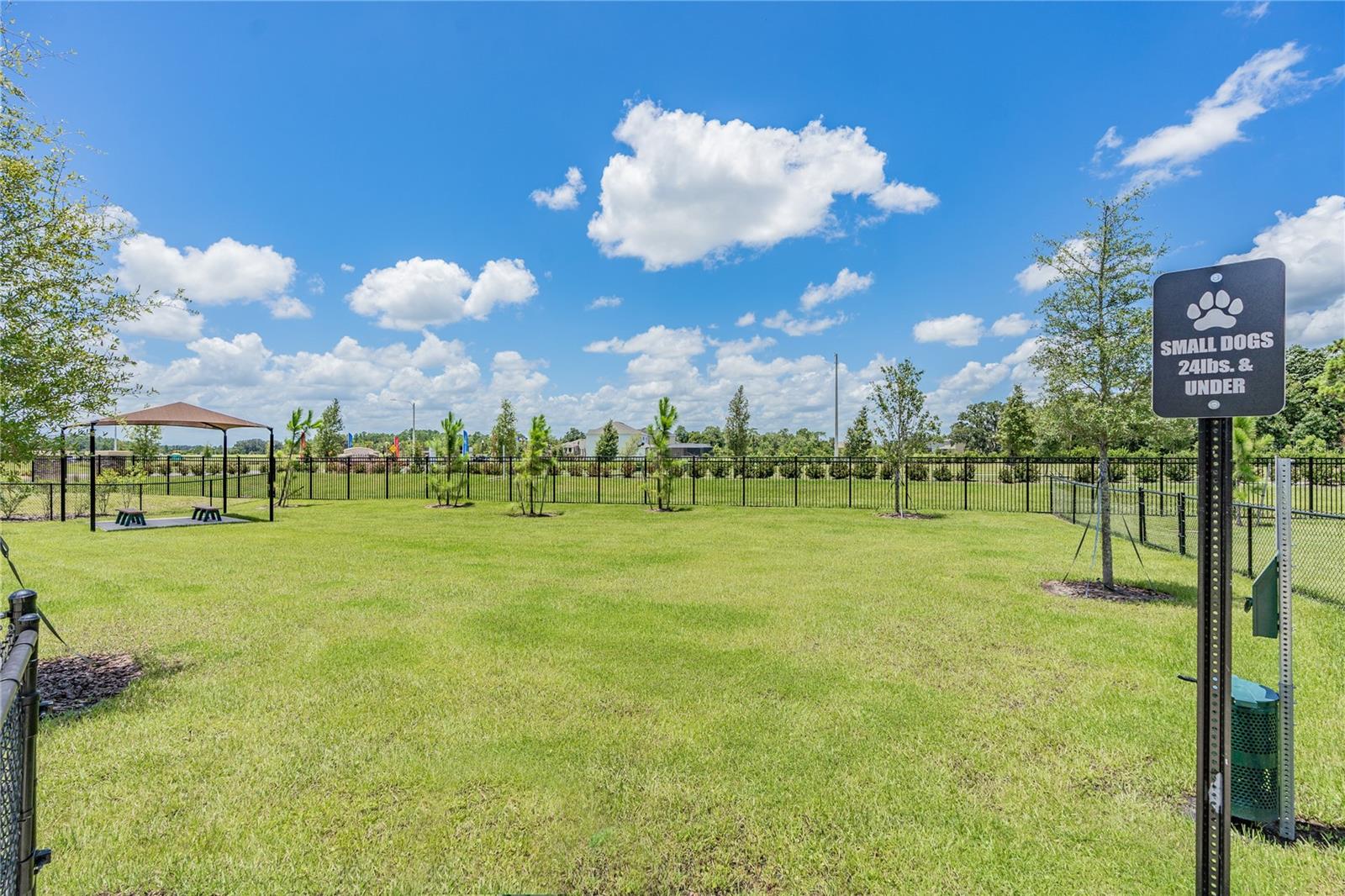 THE WATERGRASS COMMUNITY AMENITIES