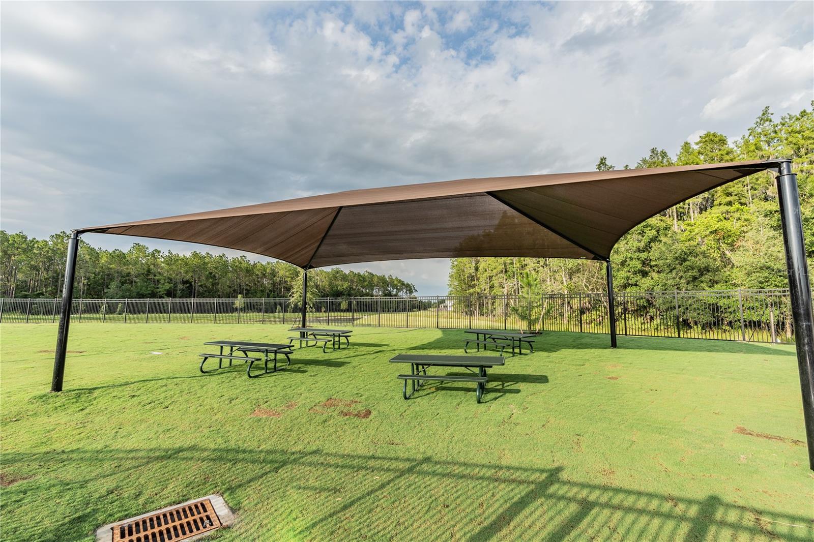 THE WATERGRASS COMMUNITY AMENITIES
