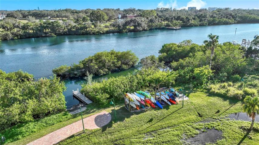 Enjoy Kayaking with Dolphins