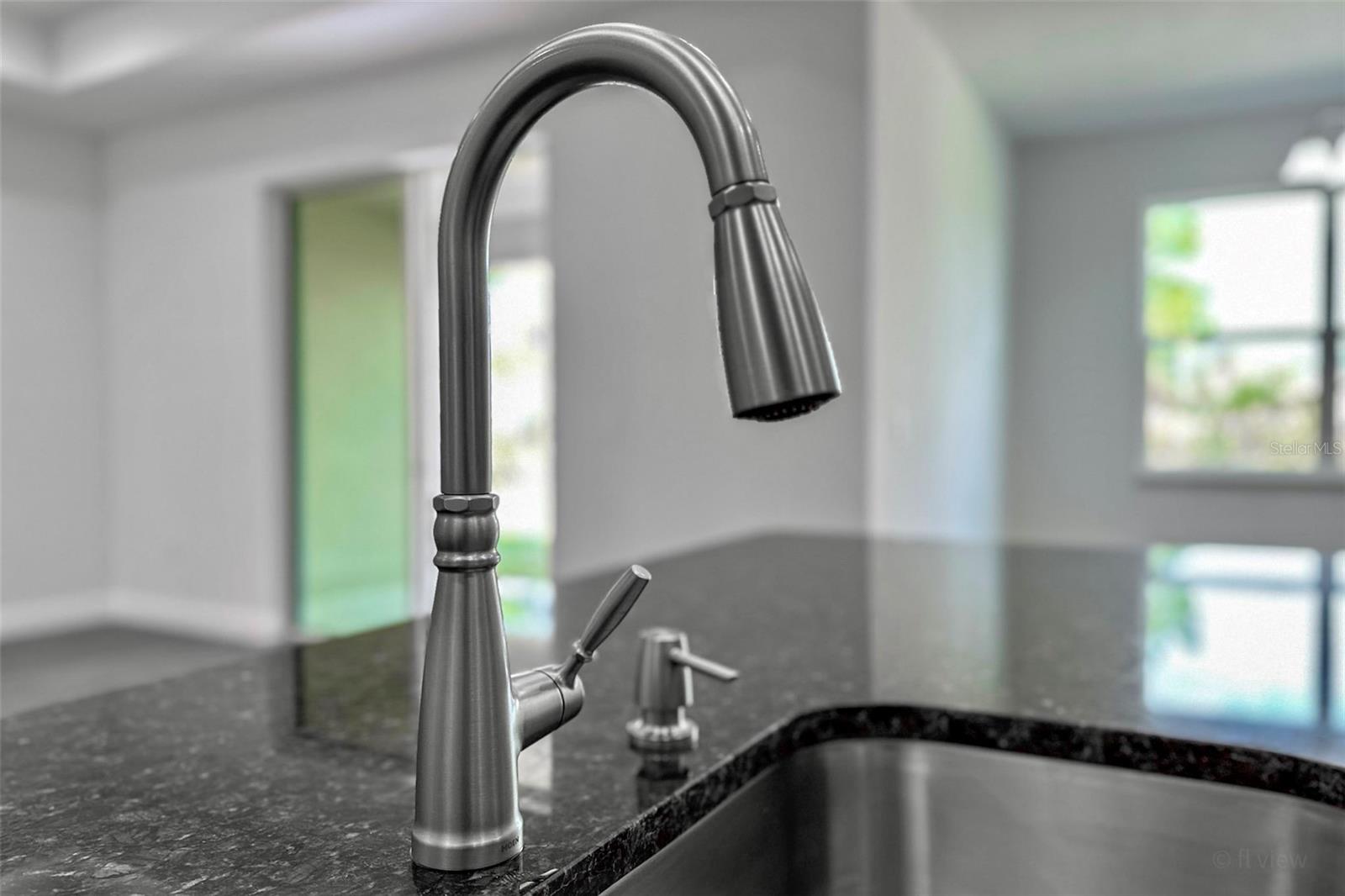 Moen Faucet