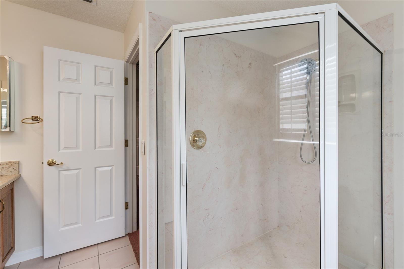 View of corner WALK-IN SHOWER in ENSUITE Master Bathroom