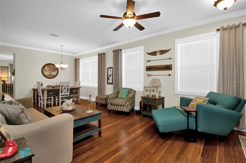 Living room and dining room