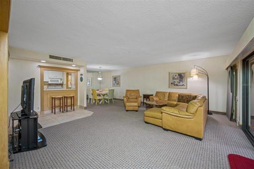 Living Room Alt View